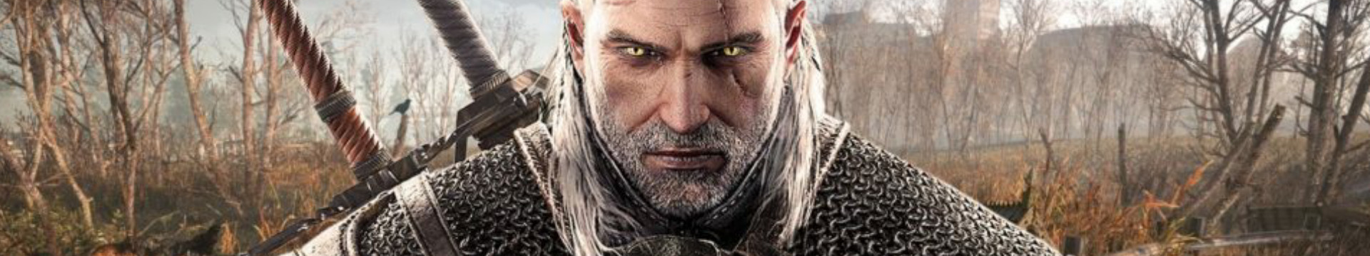 Herní hit Zaklínač 3 na sociálních sítích