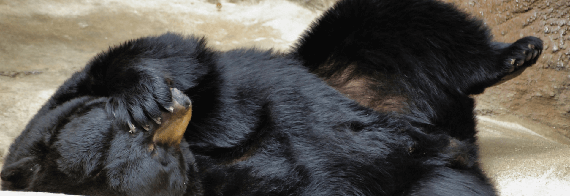 Porażki obsługi klienta, z których warto wyciągnąć wnioski